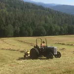 Tjonnas Farm 农家乐