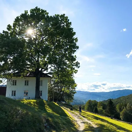 Tjonnas Farm Sauland