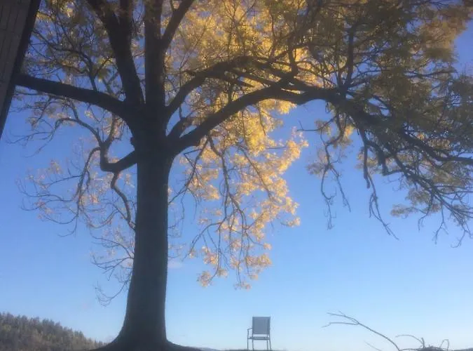 Tjonnas Farm בית חווה