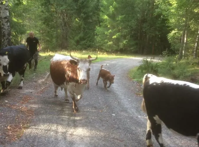 Alojamento de Turismo Rural Tjonnas Farm